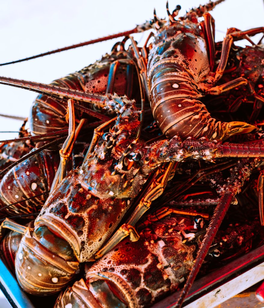 Rhode Island seafood Festival in Providence.