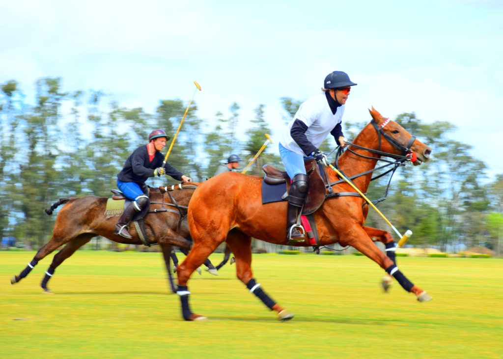 Newport International Polo at the historic Glen Farms is a weekly team event you won't want to miss in Rhode Island.