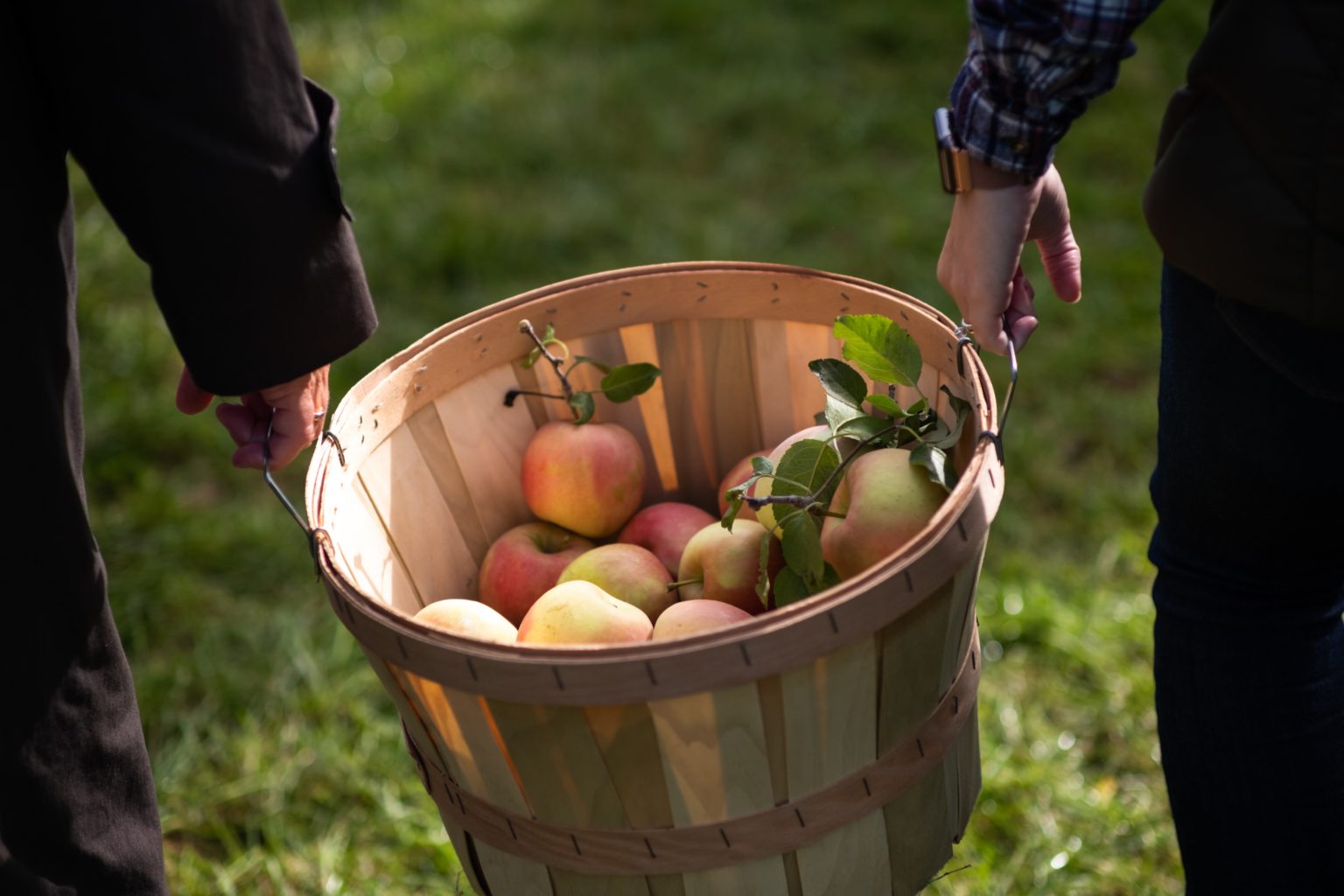 The Epic Things to Do in Rhode Island List Fall Fairs & Festivals