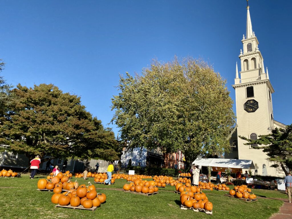 What's a better thing to do than picking Pumpkins in the Pumpkin Patch in Rhode Island.