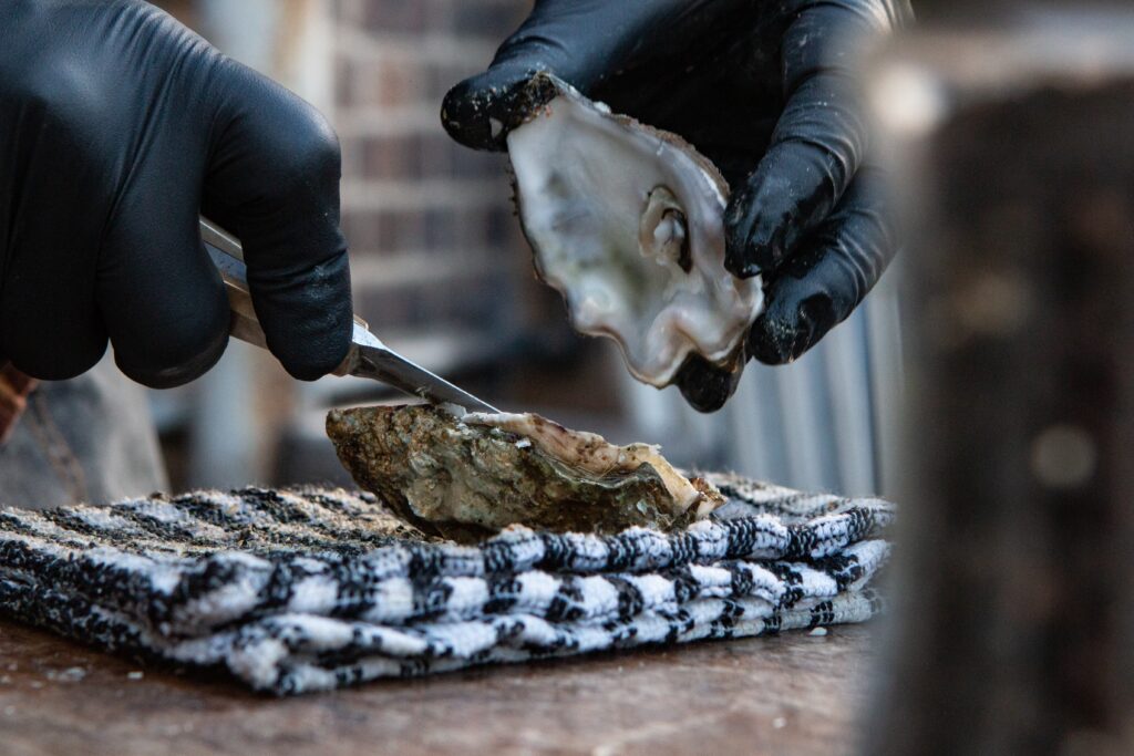 Oyster Festival in Rhode Island 