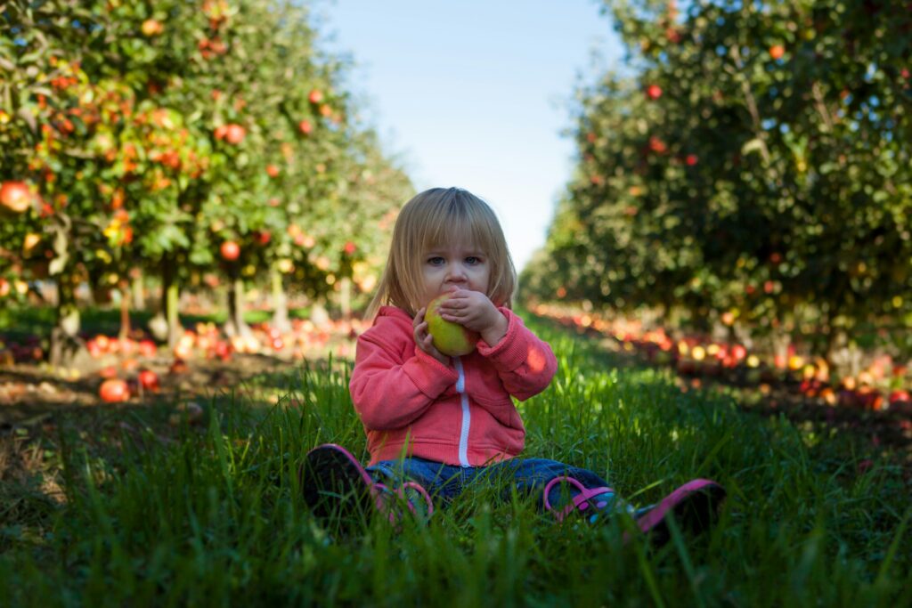 Local Orchards in Rhode Island